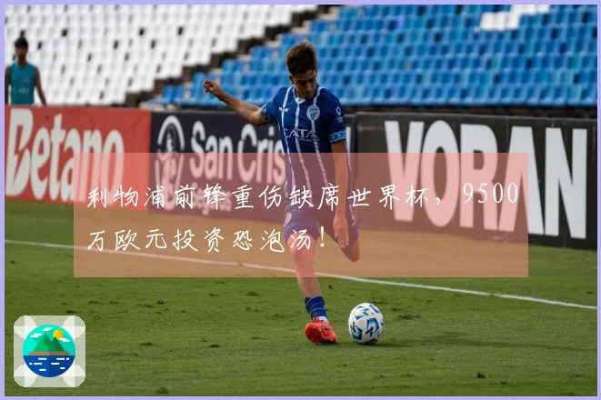 利物浦前锋重伤缺席世界杯，9500万欧元投资恐泡汤！