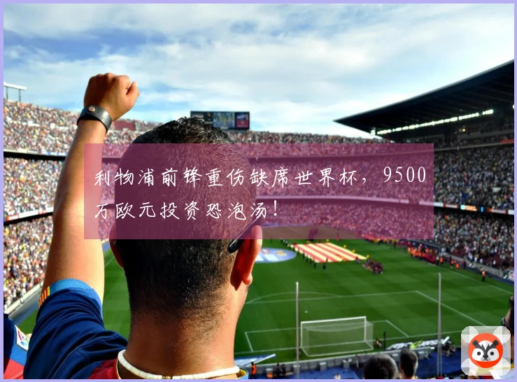 利物浦前锋重伤缺席世界杯，9500万欧元投资恐泡汤！